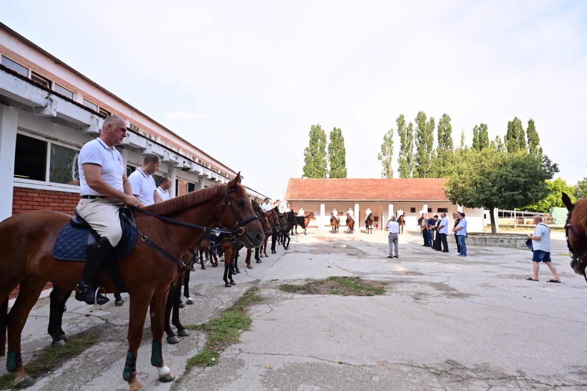 alka pripreme roko 37