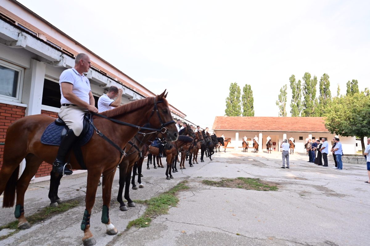 alka pripreme roko 38