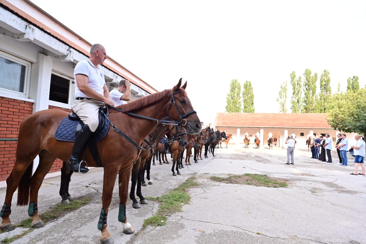 alka pripreme roko 39