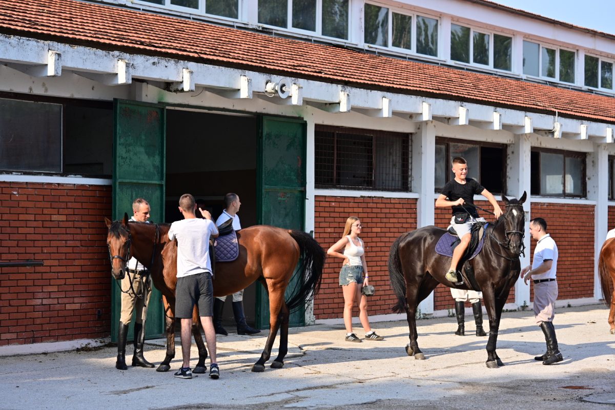 alka pripreme roko 4