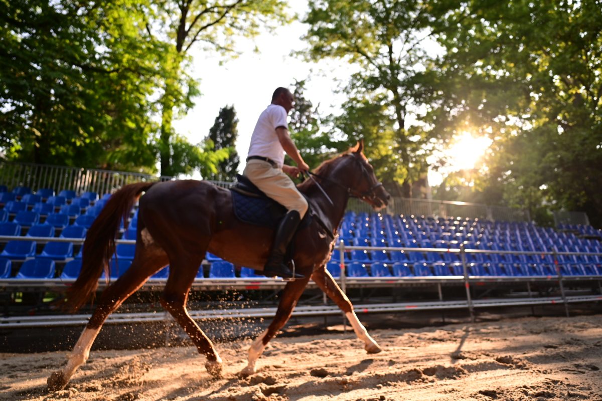 alka pripreme roko 43