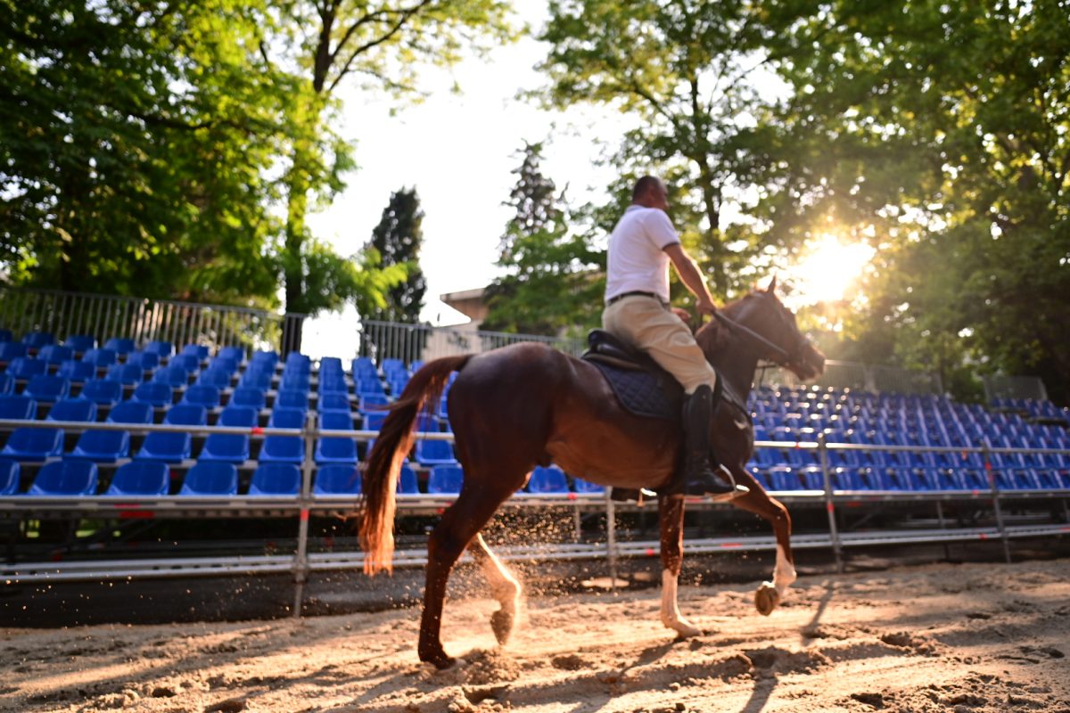 alka pripreme roko 44
