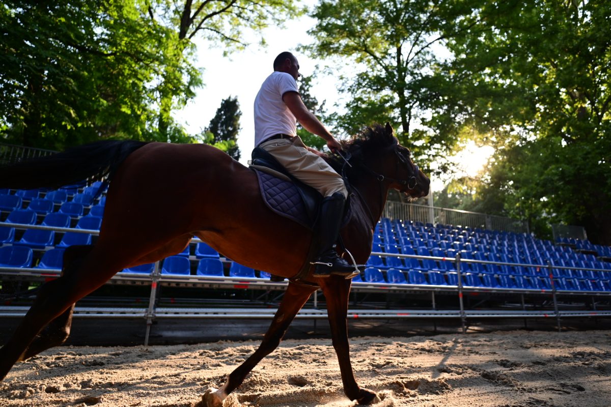 alka pripreme roko 45