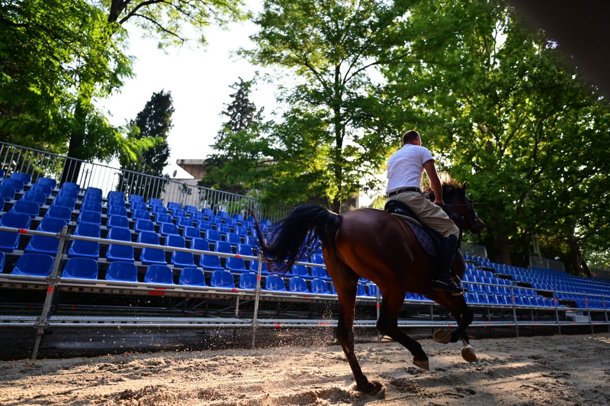 alka pripreme roko 46