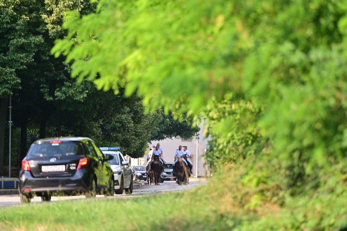 alka pripreme roko 56