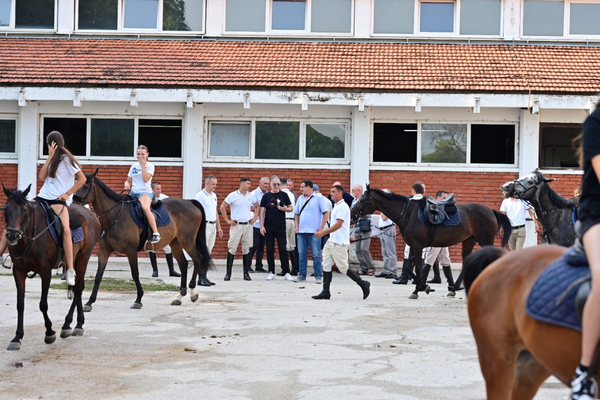 alka pripreme roko 6