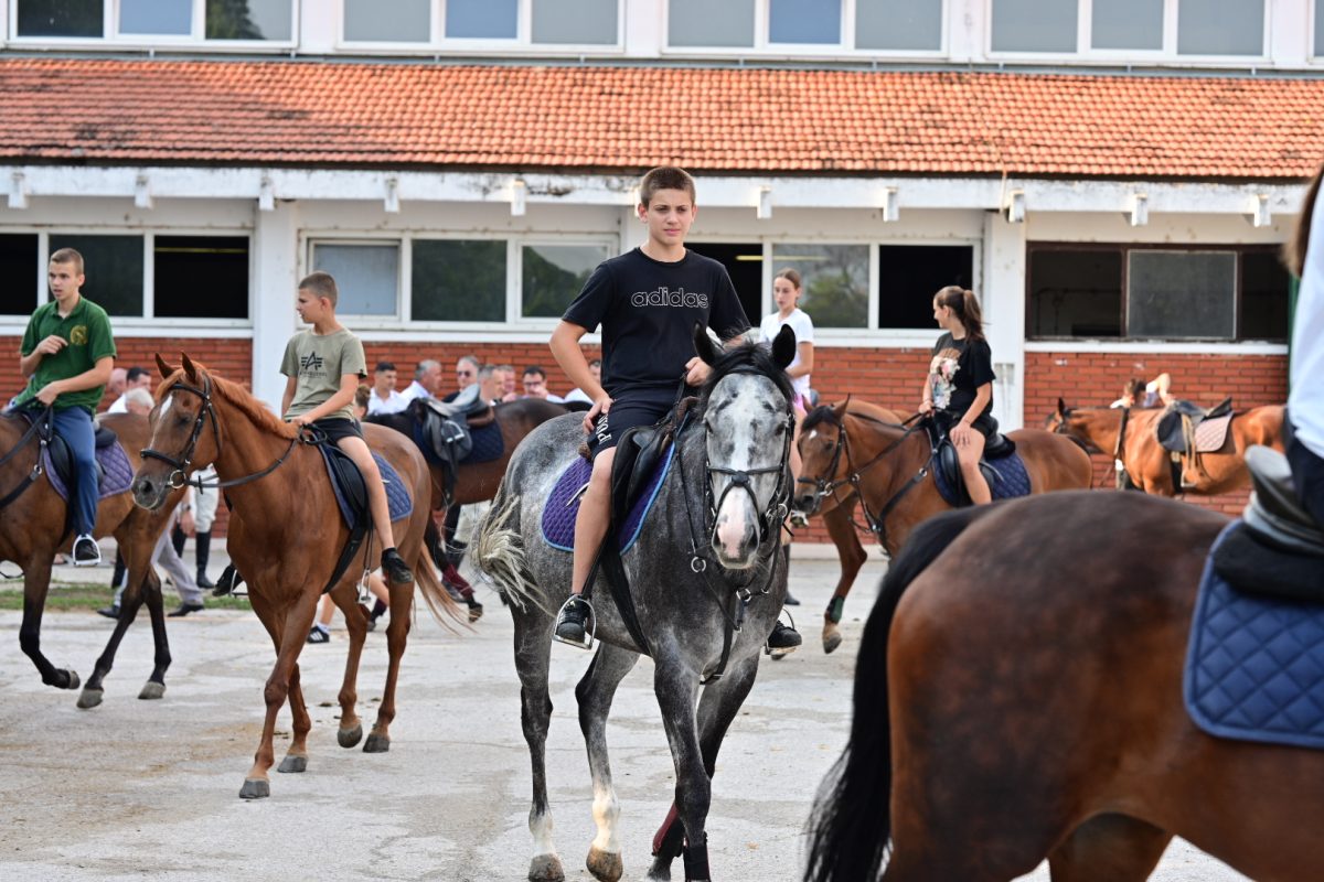 alka pripreme roko 7