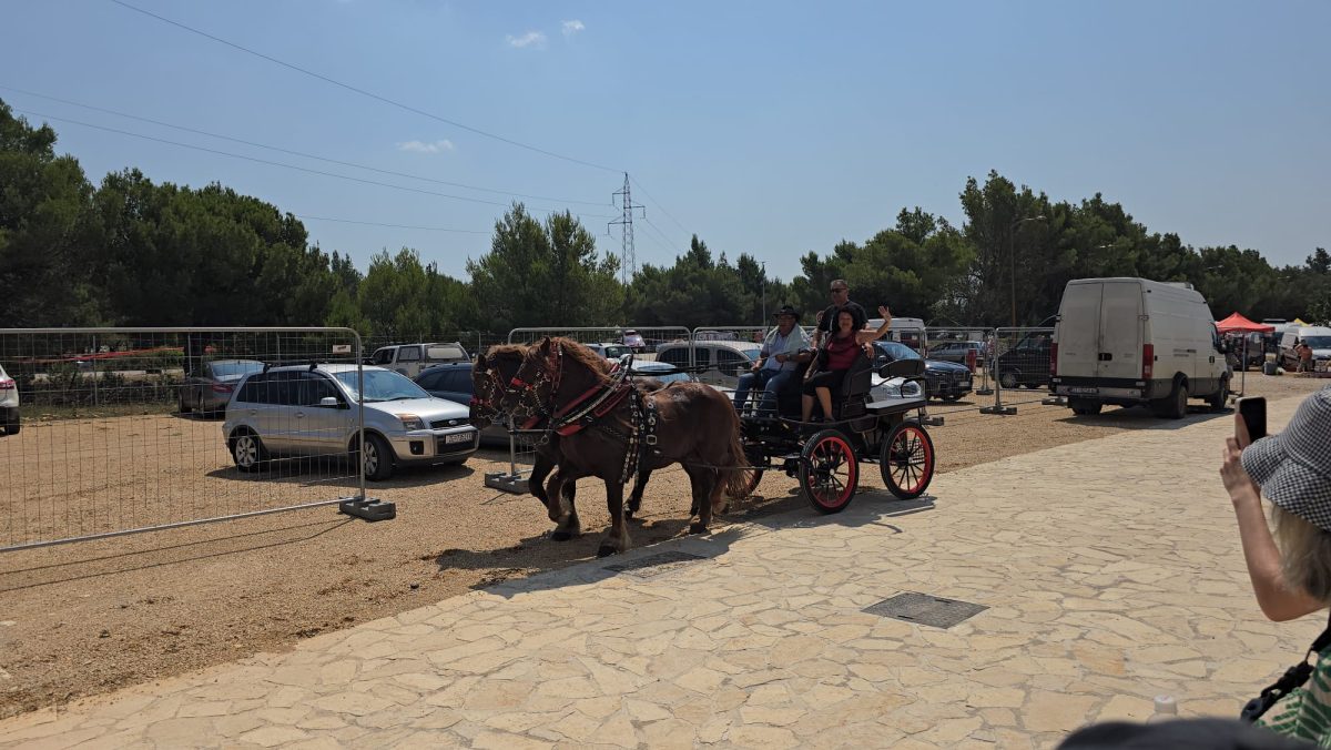 benkovac izlozba pecat  47