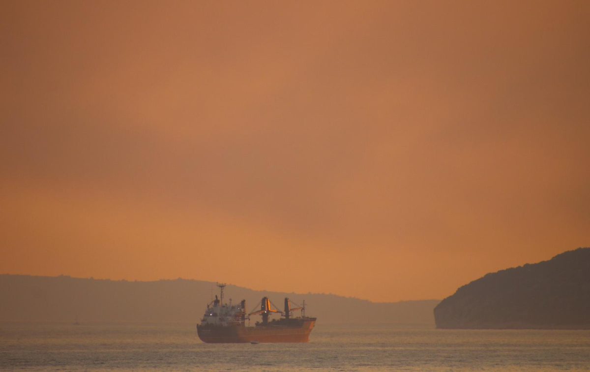 foto citatelj pozar seget 3 