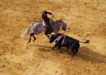 KOLUMBIJA Stupio na snagu zakon o zabrani borbi s bikovima | NACIONAL.HR