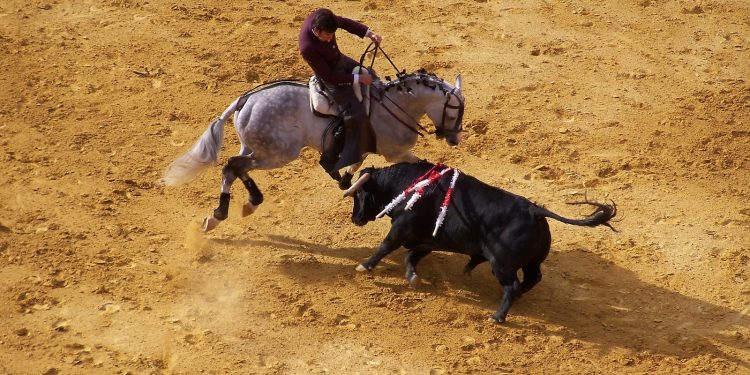 KOLUMBIJA Stupio na snagu zakon o zabrani borbi s bikovima | NACIONAL.HR