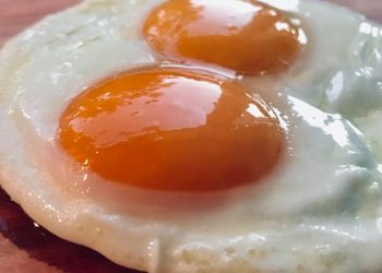 SLOBODNI SASTAV PIŠE BRANKO KUZELE: Kako me dr. Meniga naučio da nije bitno je li prije bila kokoš, već da jaje treba pravilno ispeći | NACIONAL.HR