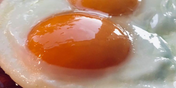 SLOBODNI SASTAV PIŠE BRANKO KUZELE: Kako me dr. Meniga naučio da nije bitno je li prije bila kokoš, već da jaje treba pravilno ispeći | NACIONAL.HR