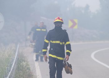 STIGAO NA METAR DO KUĆE Požar u Podgori ugasilo 70 vatrogasca, izgorjeli maslinici i borova šuma | NACIONAL.HR
