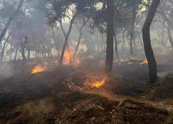 Tucaković: “Požar kod Trogira je pod kontrolom, više ničemu ne prijeti”