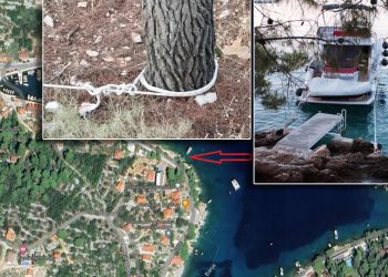 ŠAKA U OKO U ROGAČU NA ŠOLTI "Kupiš jahtu, nabetoniraš ispri'kuće i zavežeš je kao kozu za stablo"