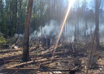 AVIONSKA NESREĆA Srušio se Gazpromov zrakoplov kod Moskve, poginula tri člana posade | NACIONAL.HR
