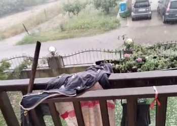 ZALEĐE PLOČA Veliko nevrijeme s tučom poharalo polje Jezero. ‘Kardinal na podu, vinsko grožđe uništeno’ | NACIONAL.HR