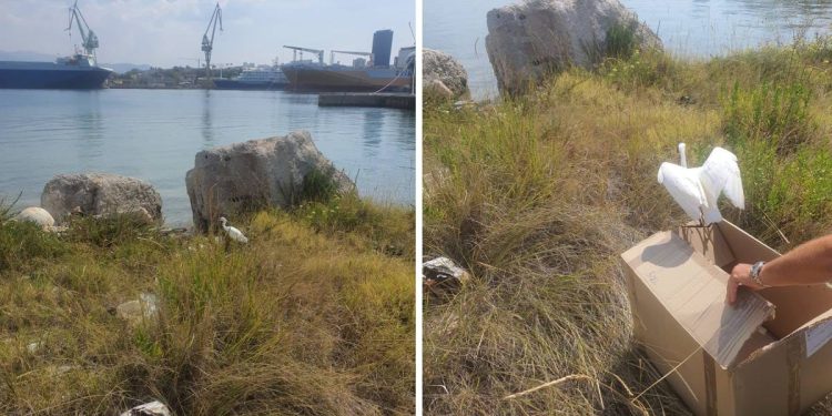 Splitski škver posjetila neobična gošća