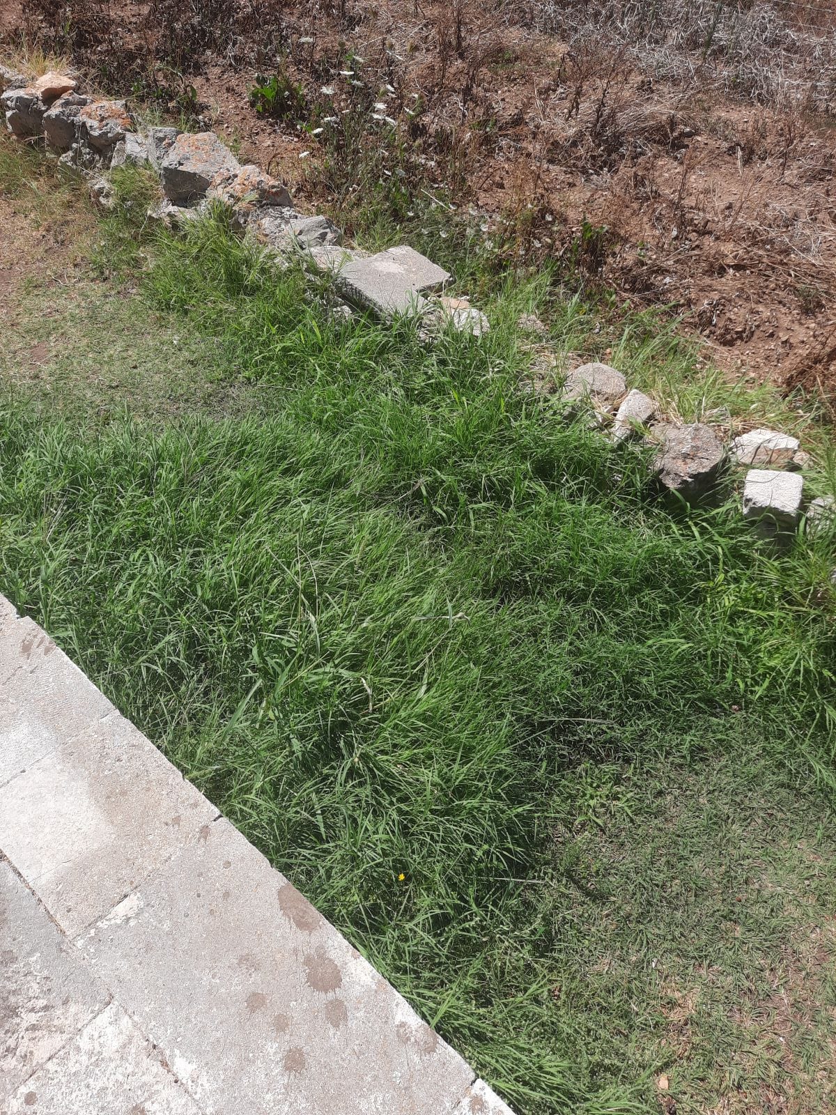 Sramota na otočiću Ošljaku: "Uskoro je Velika Gospa, a do crkve jedino u čizmama, septička jama se izlijeva uokolo"