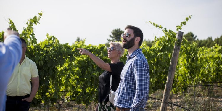 Slobodna Dalmacija – Ante Sladić: ‘Kakva je ovo godina, prvo je bio mraz, a sada požar. Branili smo vinograd cijeli dan!’