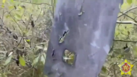 Oborene ukrajinske bespilotne letjelice pune NATO elektronike – Minsk