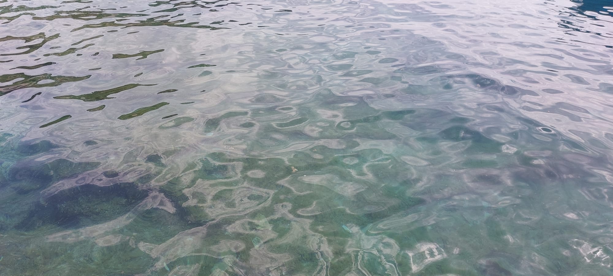NITKO NE REAGIRA Zagađenje mora na Braču - i ovdje plivaju fekalije!