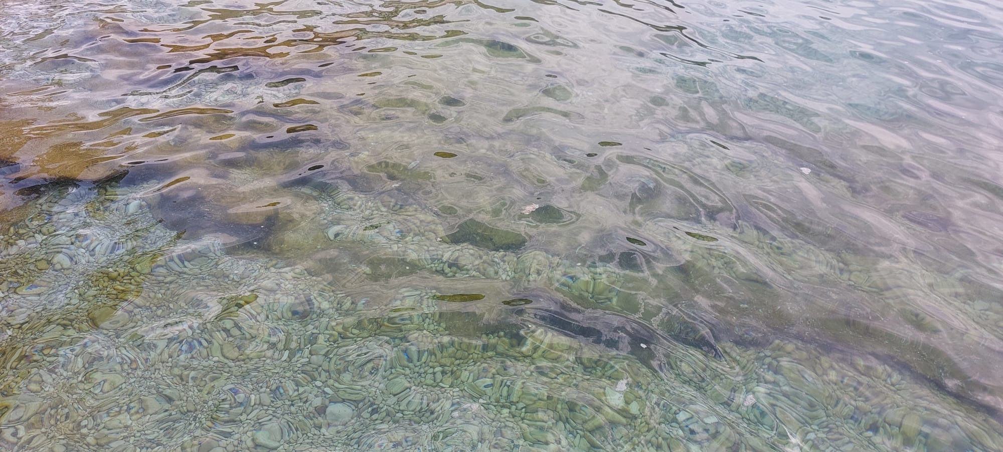 NITKO NE REAGIRA Zagađenje mora na Braču - i ovdje plivaju fekalije!