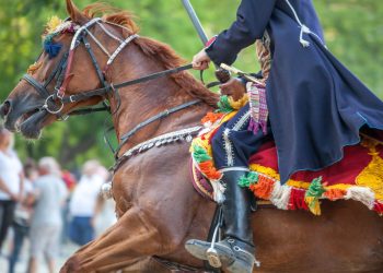 Slobodna Dalmacija – Splićani, ovo ne smijete propustiti: guštat’ ćete u svakoj sekundi, otkrivamo što obavezno trebate probati, nema boljeg