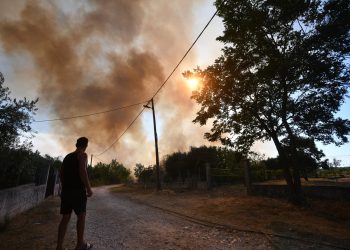 Rudić: “Na požaru u Radašinovcima angažirano 49 vatrogasaca s 19 vozila koji će ostati na terenu cijelu noć. Objekti nisu ugroženi”