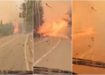 Slobodna Dalmacija – Dramatična snimka kod Podgore, vatrogasci se probijali kroz vatrenu buktinju, pogledajte video: ‘Bože pomozi!’