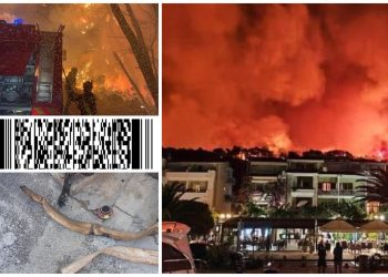 Slobodna Dalmacija – Makarski vatrogasci traže pomoć građana: ‘Razorni požari uništili su nam opremu i vozila, molimo vas, pomozite!’