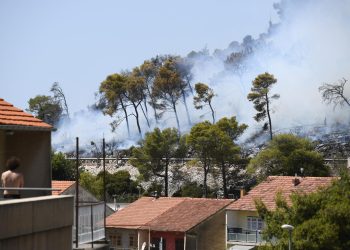 Tko je odgovoran za zapuštene terene u Šibeniku? Šumari: ‘Redovno uklanjamo suha stabla’. Mileta: ‘Upisani vlasnici su davno umrli’