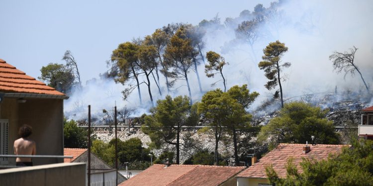 Tko je odgovoran za zapuštene terene u Šibeniku? Šumari: ‘Redovno uklanjamo suha stabla’. Mileta: ‘Upisani vlasnici su davno umrli’