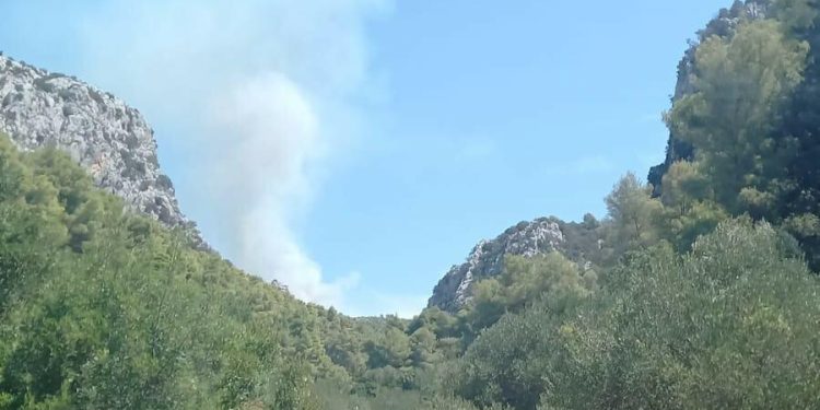 Slobodna Dalmacija – Izbio požar na zapadnom dijelu Hvara: na terenu su pripadnici otočnih vatrogasnih snaga, zatvoren i dio županijske ceste