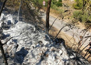 Slobodna Dalmacija – Požar na Hvaru ugašen, vatrogasci dežuraju na požarištu cijelu noć