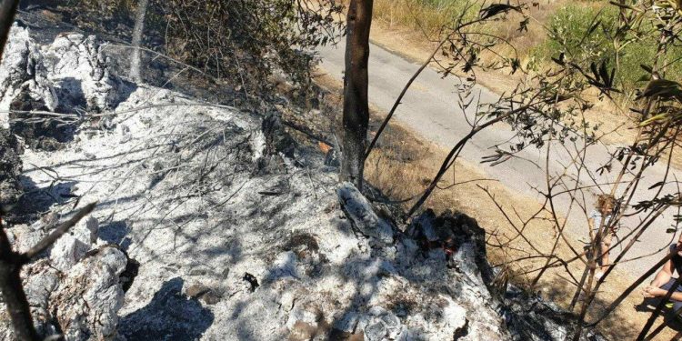 Slobodna Dalmacija – Požar na Hvaru ugašen, vatrogasci dežuraju na požarištu cijelu noć