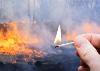 Slobodna Dalmacija – Uhićeni piroman je 55-godišnjak s područja Muća, zadnja dva požara koja je potpalio nisu mu prva