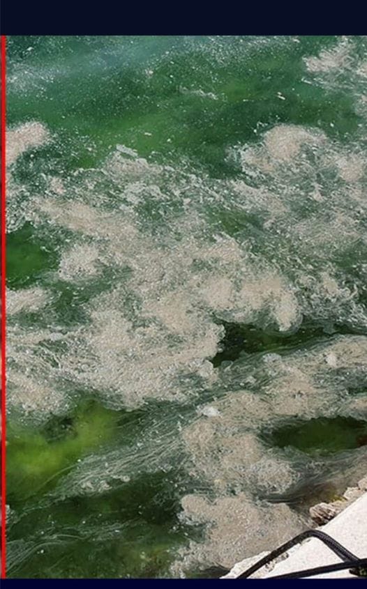 RABLJANIMA JE PREKIPJELO Veliki i glasan prosvjed protiv ribogojilišta: "Posljedice po okoliš i turizam su dugoročne!"