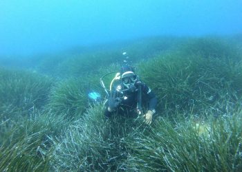 A DI SE TI SIDRIŠ? Uredba o obnovi prirode EU-a: Spas za morske ekosustave