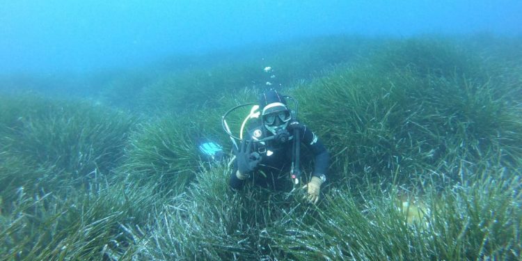 A DI SE TI SIDRIŠ? Uredba o obnovi prirode EU-a: Spas za morske ekosustave