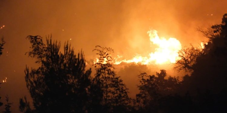 APOKALIPTIČNE SCENE Ljudi su u panici, boje se za svoje kuće: “Točno ovako je bilo i 2017. Vatra nam je 15 metara od kuće”