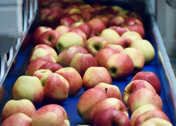 AZTN pokrenuo postupak protiv tvrtke iz Slatine