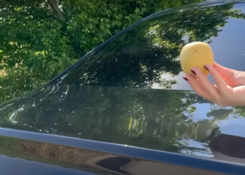 Auto Klub – Danas stiže kiša: Trik sa sirovim krumpirom može vam doslovno spasiti život u automobilu