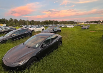 Auto Klub – Grozna slika: Stotine potpuno novih Tesli obraslih travom prže se pod suncem u polju, otkriven i razlog