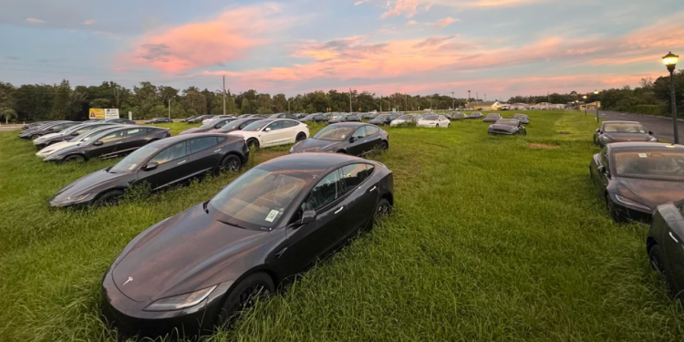 Auto Klub – Grozna slika: Stotine potpuno novih Tesli obraslih travom prže se pod suncem u polju, otkriven i razlog