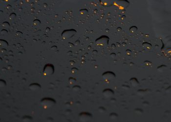 Auto Klub – Pokušajte sjajan trik: Nakon pranja automobila dosadni vodeni tragovi zauvijek nestaju s lima