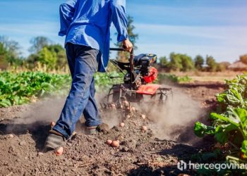 BiH uvozi prehrambene proizvode koje i sama može uzgojiti, evo što nam sve stiže sa stranih tržišta