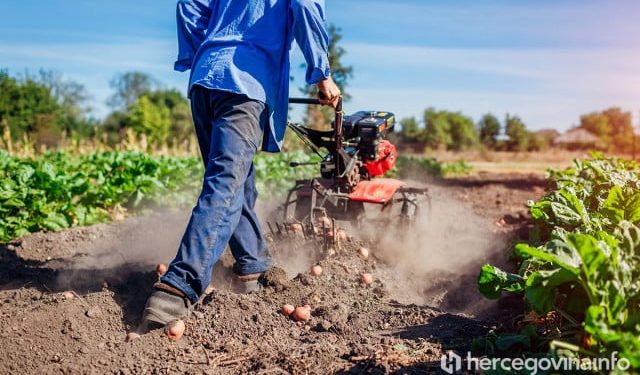BiH uvozi prehrambene proizvode koje i sama može uzgojiti, evo što nam sve stiže sa stranih tržišta