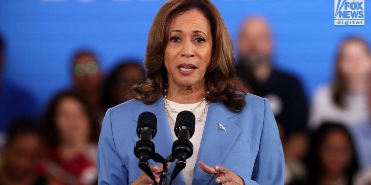 Biden-Harrisov napor za električna vozila pretrpio je udarac nakon što je Ford odustao od plana za električna vozila: ‘neželjen i neizvodljiv’